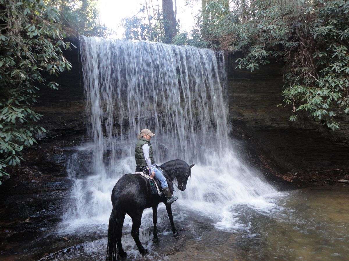 Highland Creek Stables on EquineNow