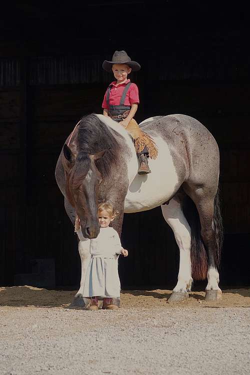 Ohio Thoroughbred Trainers License