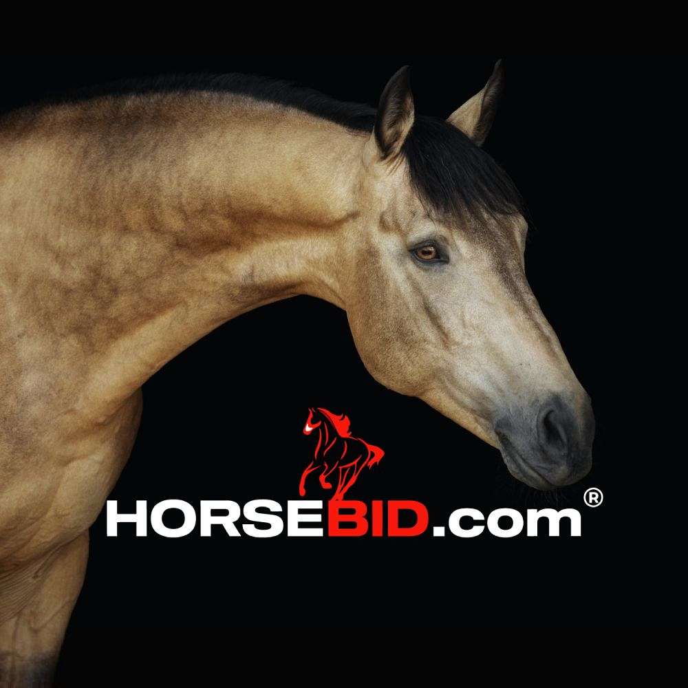 Horsebid LLC - America's Premier Online Horse Auct