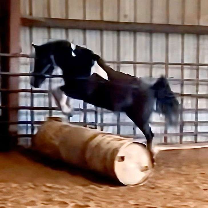 Cantrall Creek Equestrian Center