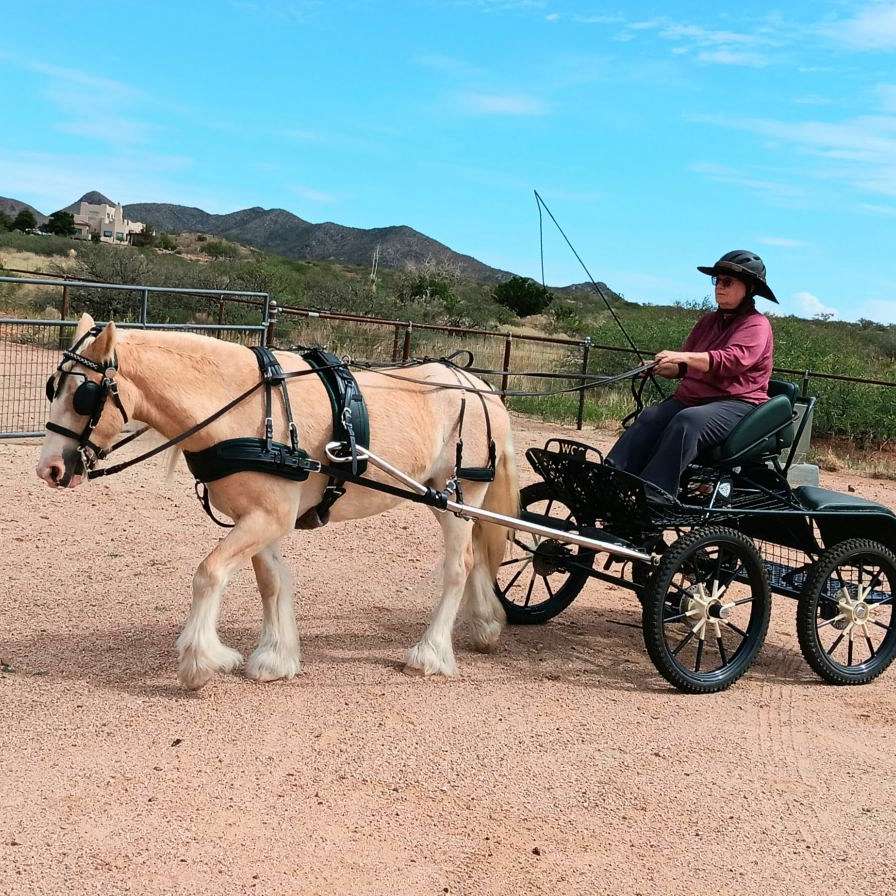 Sun Country Ranch