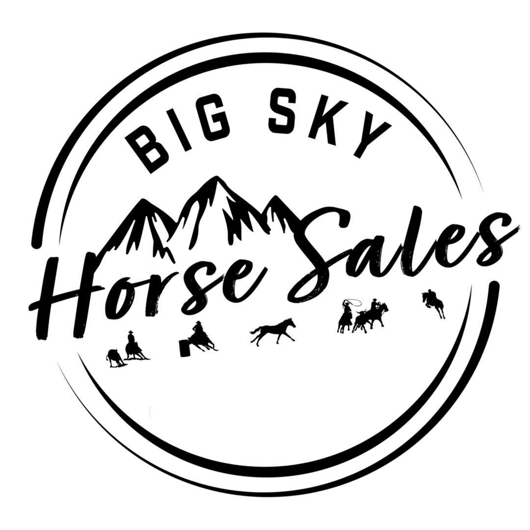 Big Sky Horse Sales, LLC