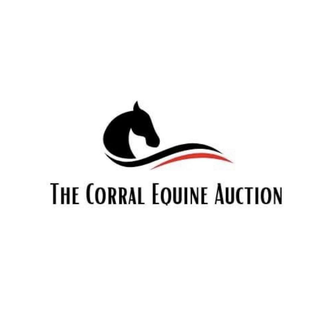 Corral Equine Auctions