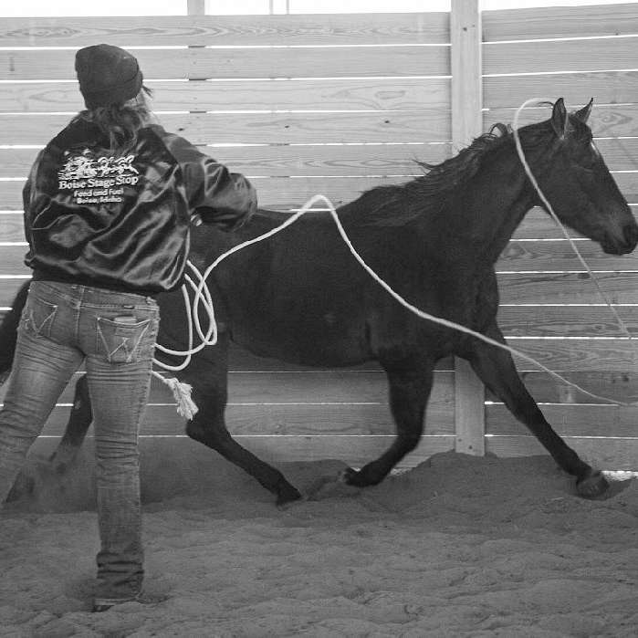 Rocking Pony Horsemanship