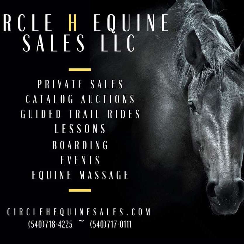 Circle H Equine Sales Summer Catalog Horse Auction