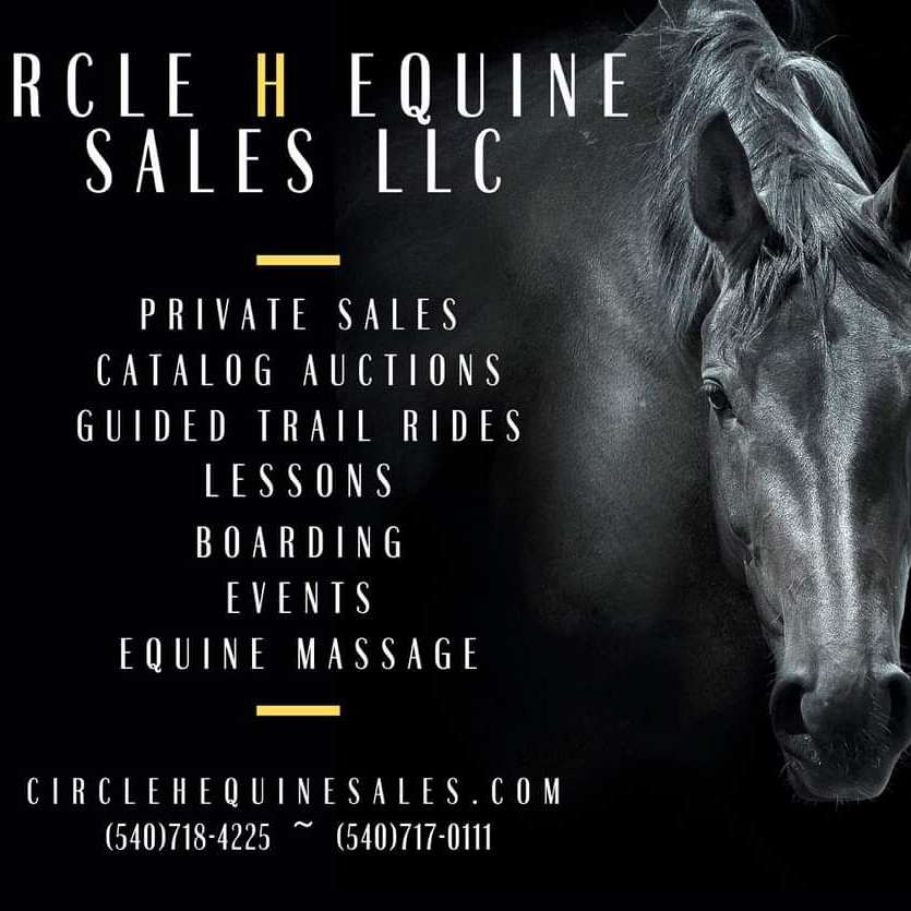 Circle H Equine Sales LLC