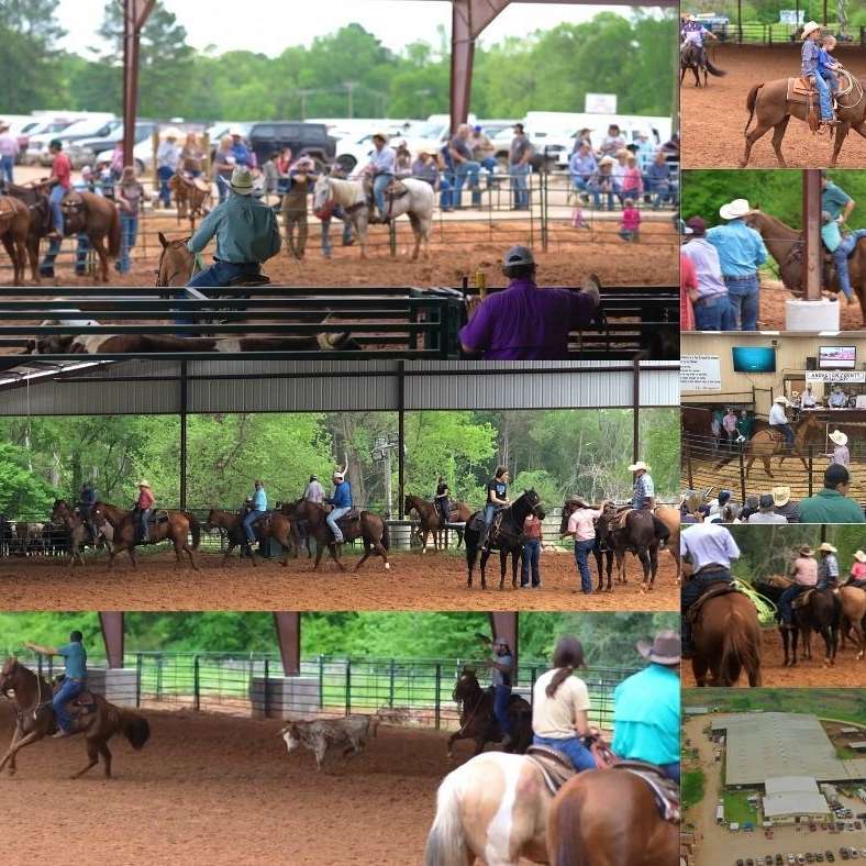 Anderson County Horse Sale