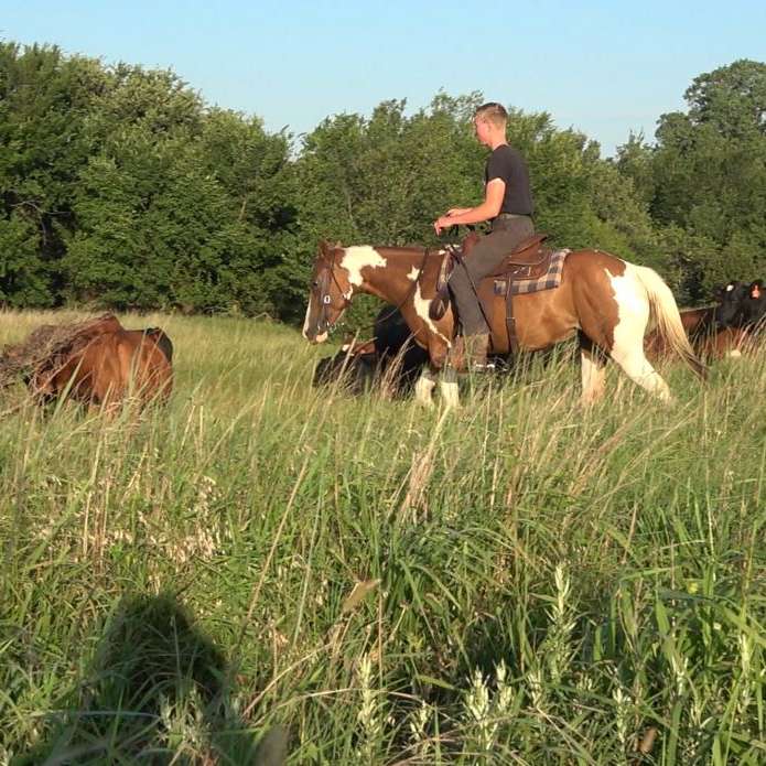 Red Dirt Horsemanship
