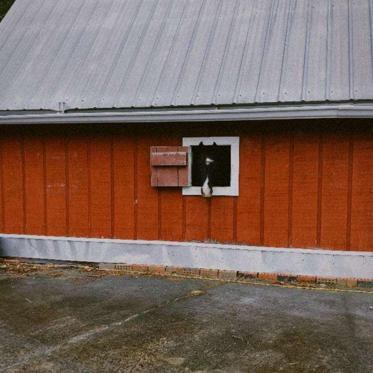 LUNA Farm and Sanctuary