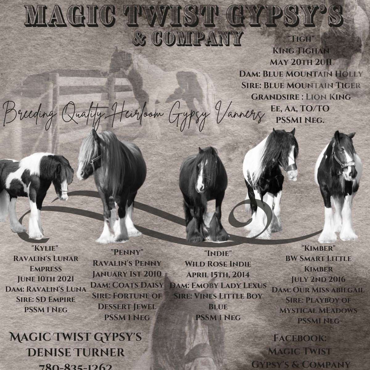 Magic Twist Gypsy's & Company