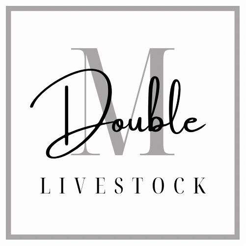 Double M Livestock