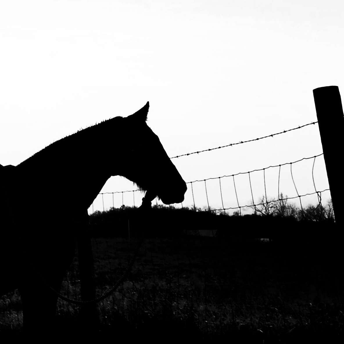 East to West Horsemanship