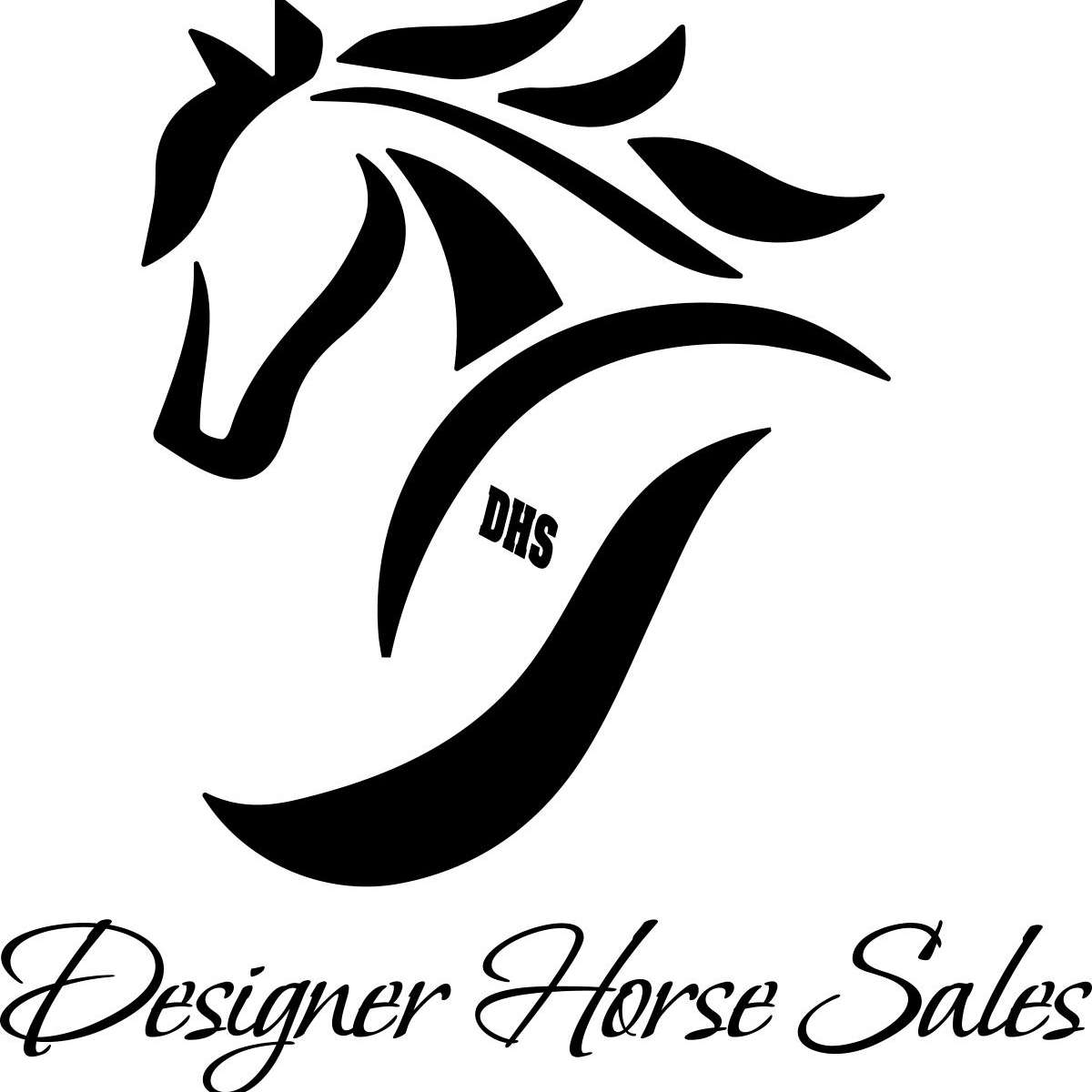 Designer Horse Sales LLC