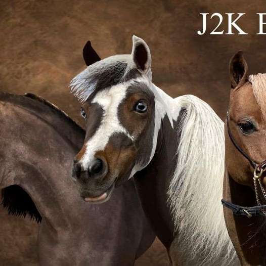 J2K Equestrian