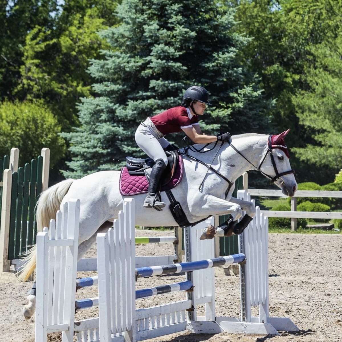 Cedar Ridge Equestrian Center