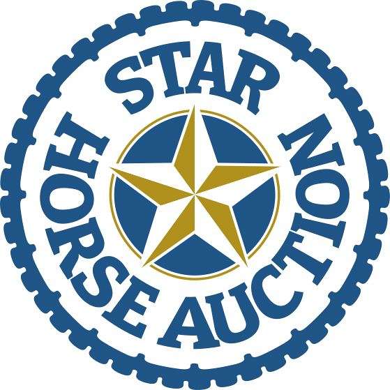 Star Horse Auction LLC