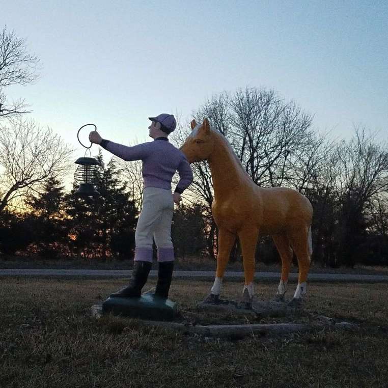 Mammen Quarter Horses
