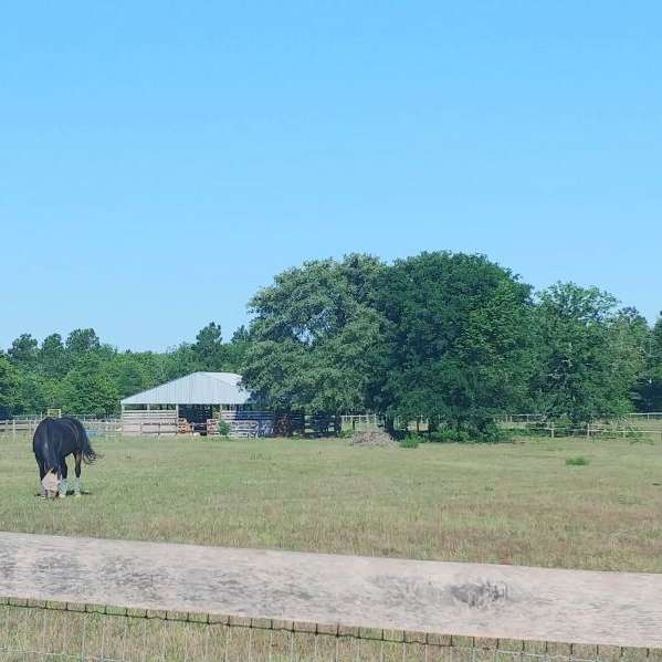 Fox Ledges Farm