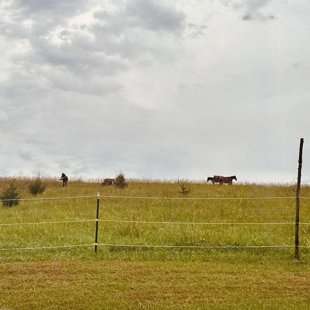 FNJ Farms