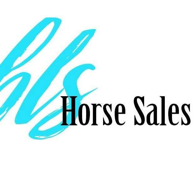Billings Livestock Horse Sale 