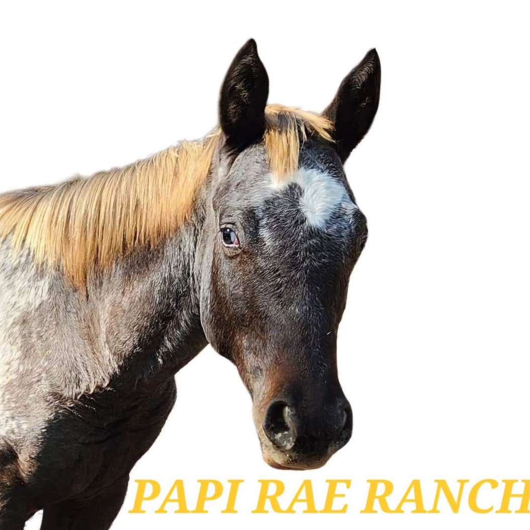 Papi Rae Ranch