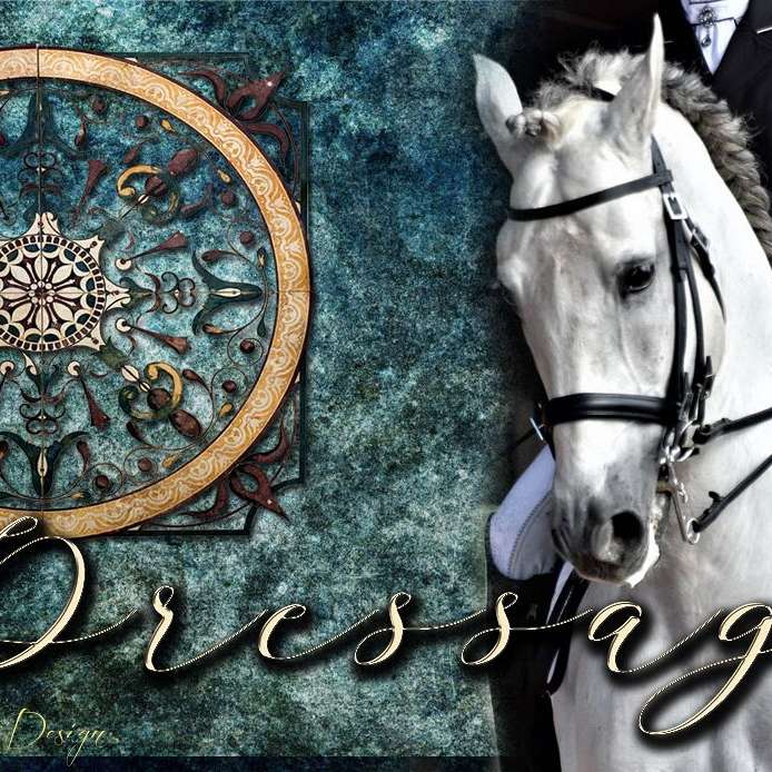 Dressage Iberians Andalusians and Lusitanos