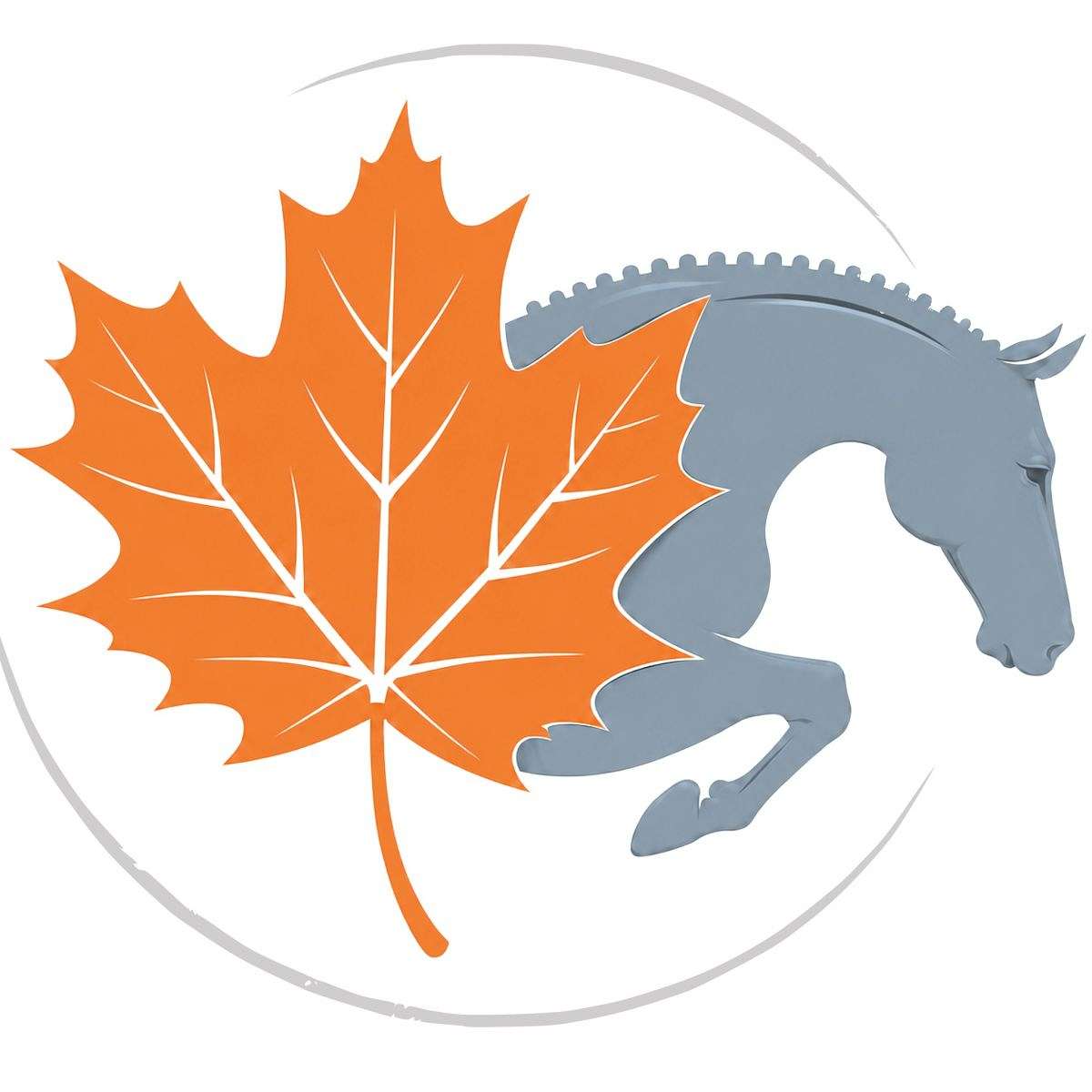 Maple Canyon Sport Horses