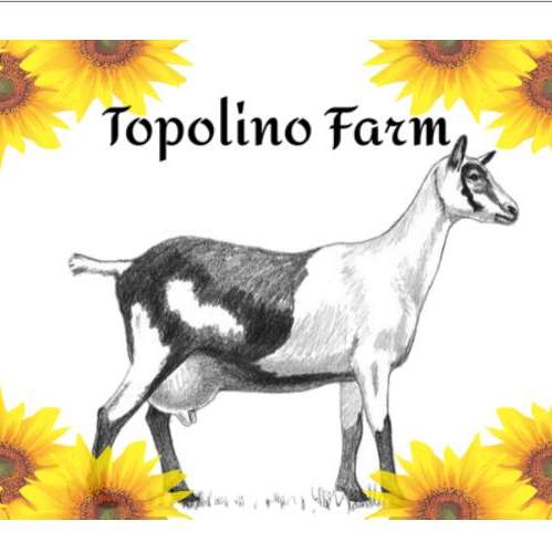 Topolino Farm