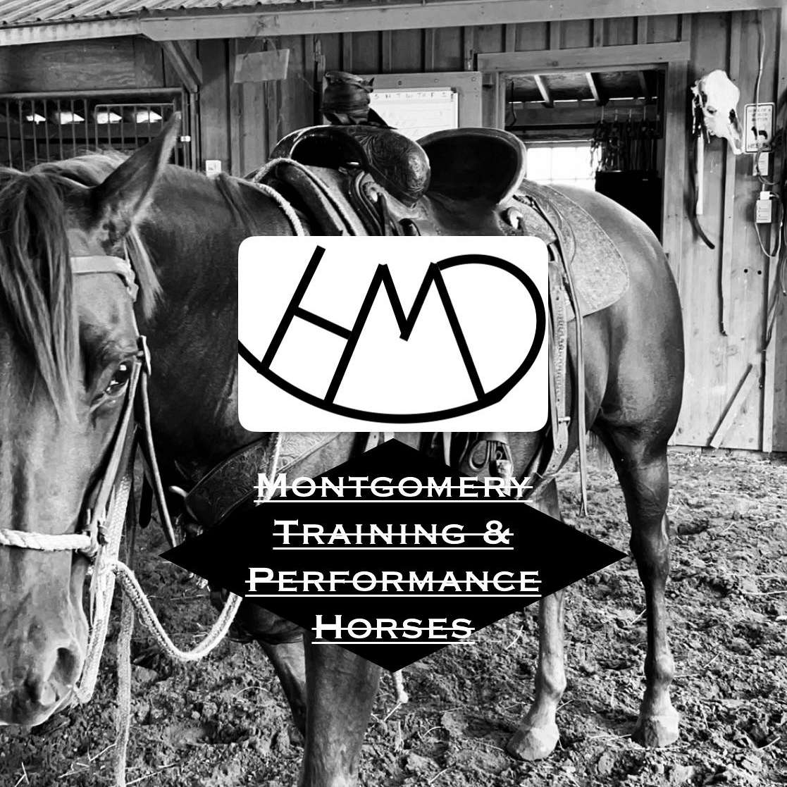 Montgomery Training and Performance Horses