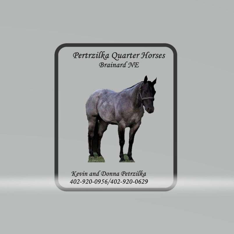 PETRZILKA QUARTER HORSES