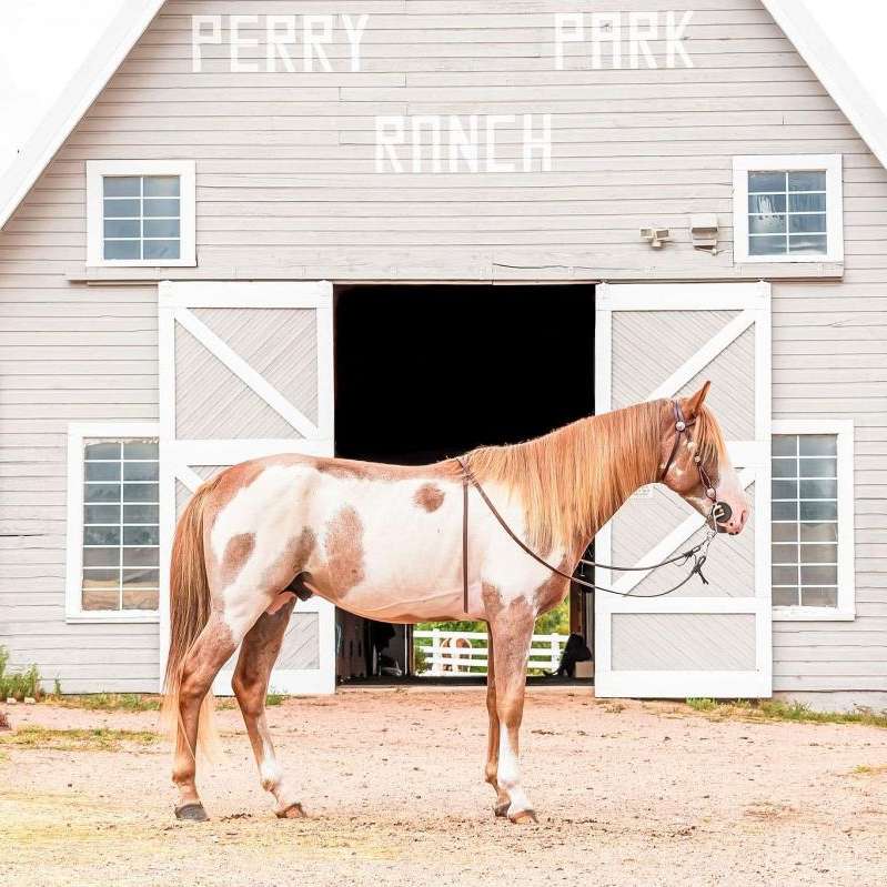 Perry Park Ranch LLC