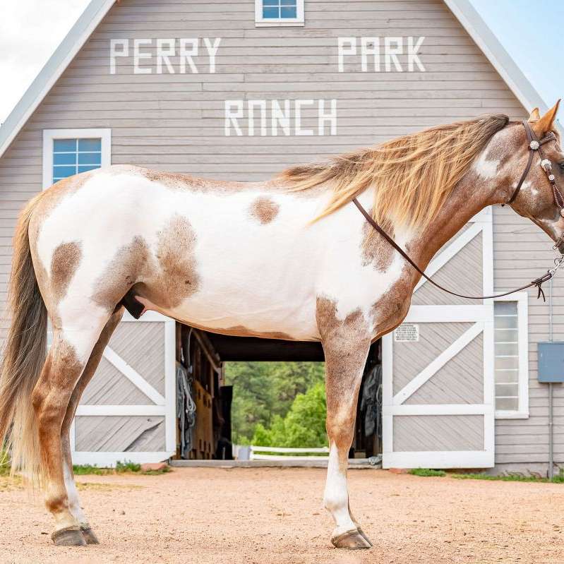 Perry Park Ranch LLC