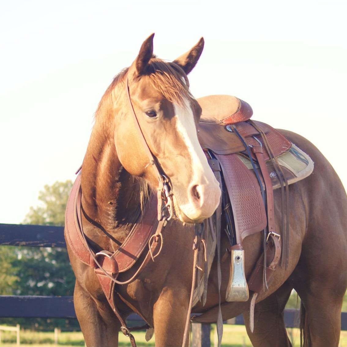 Pleasant Acre Farms LLC