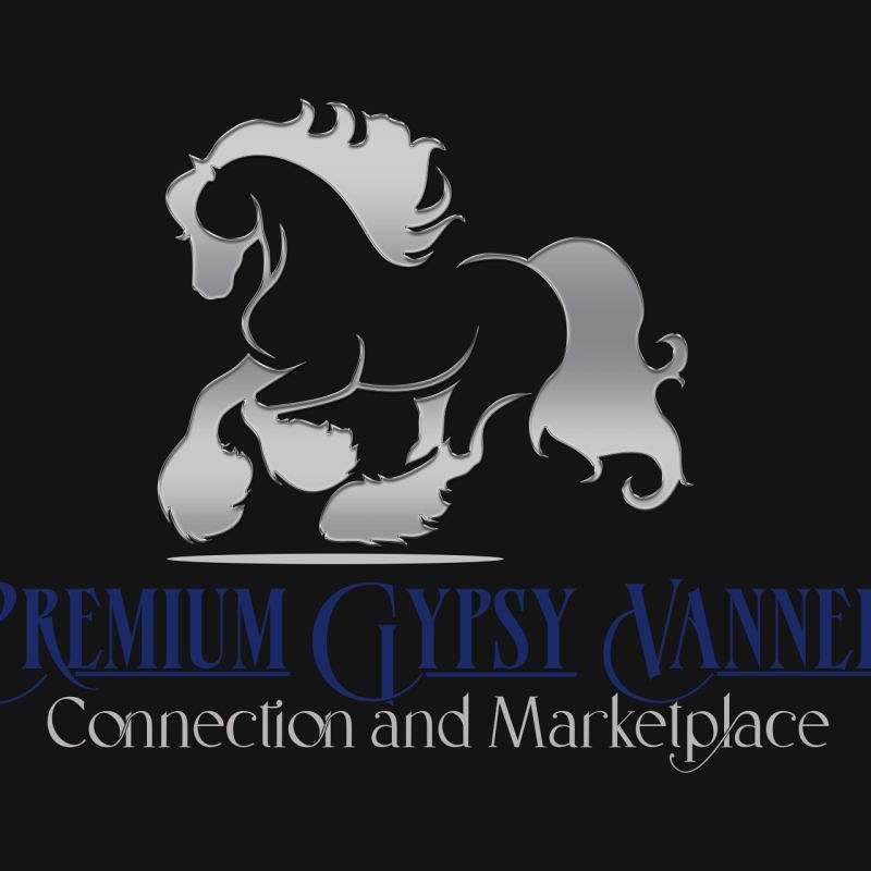 Premium Gypsy Vanner Connection and Marketplace