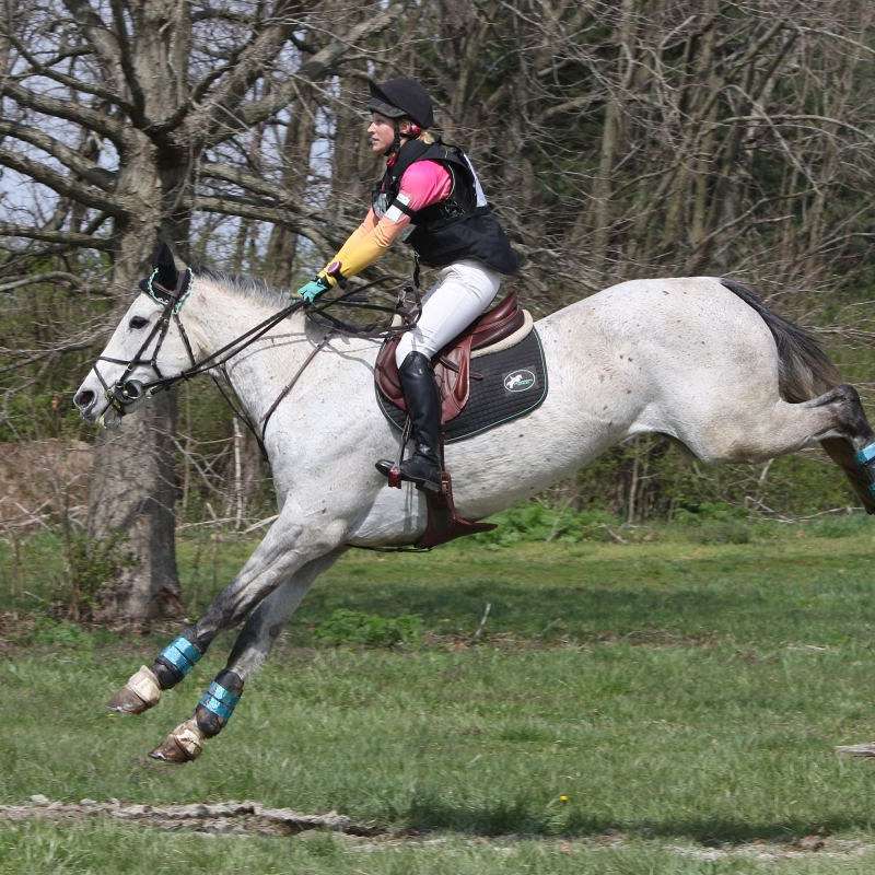 Amy Nelson Equestrian at Hummingbird Stables