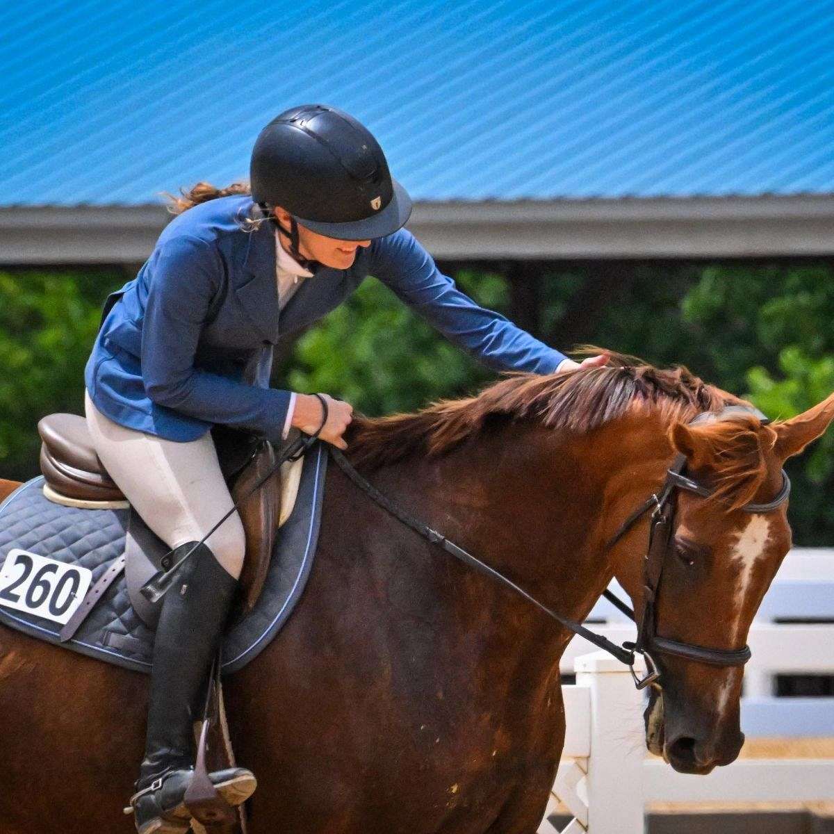 Swift Creek Sales Horses