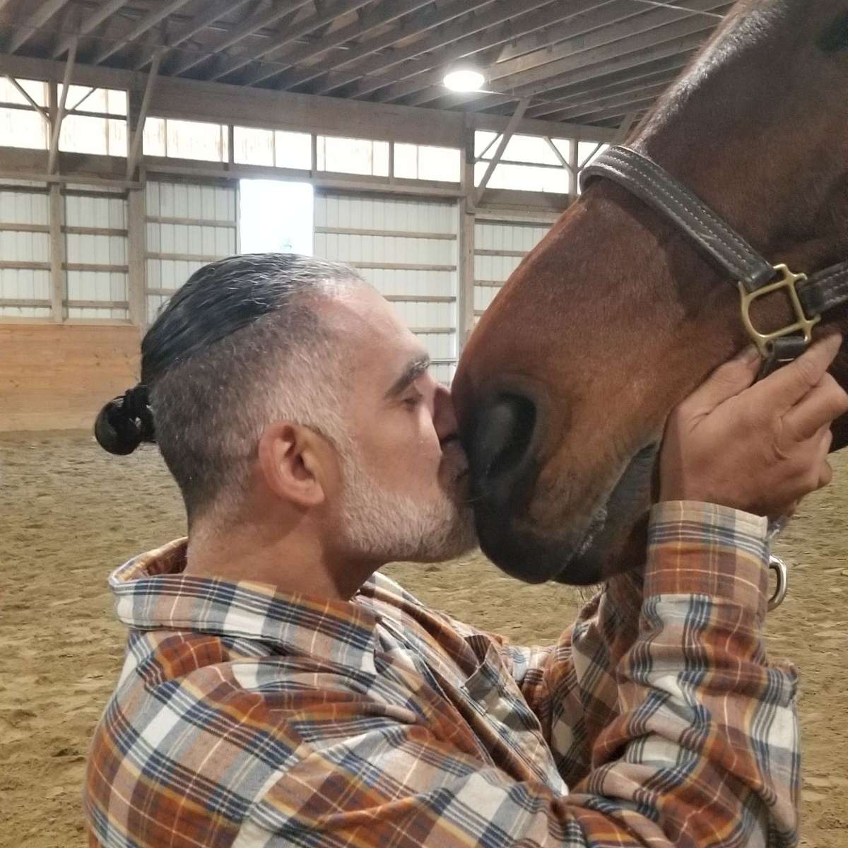 Escobedo Equine Massage Therapy