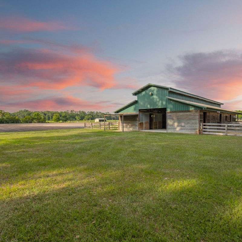 GT Farms  Stables LLC.