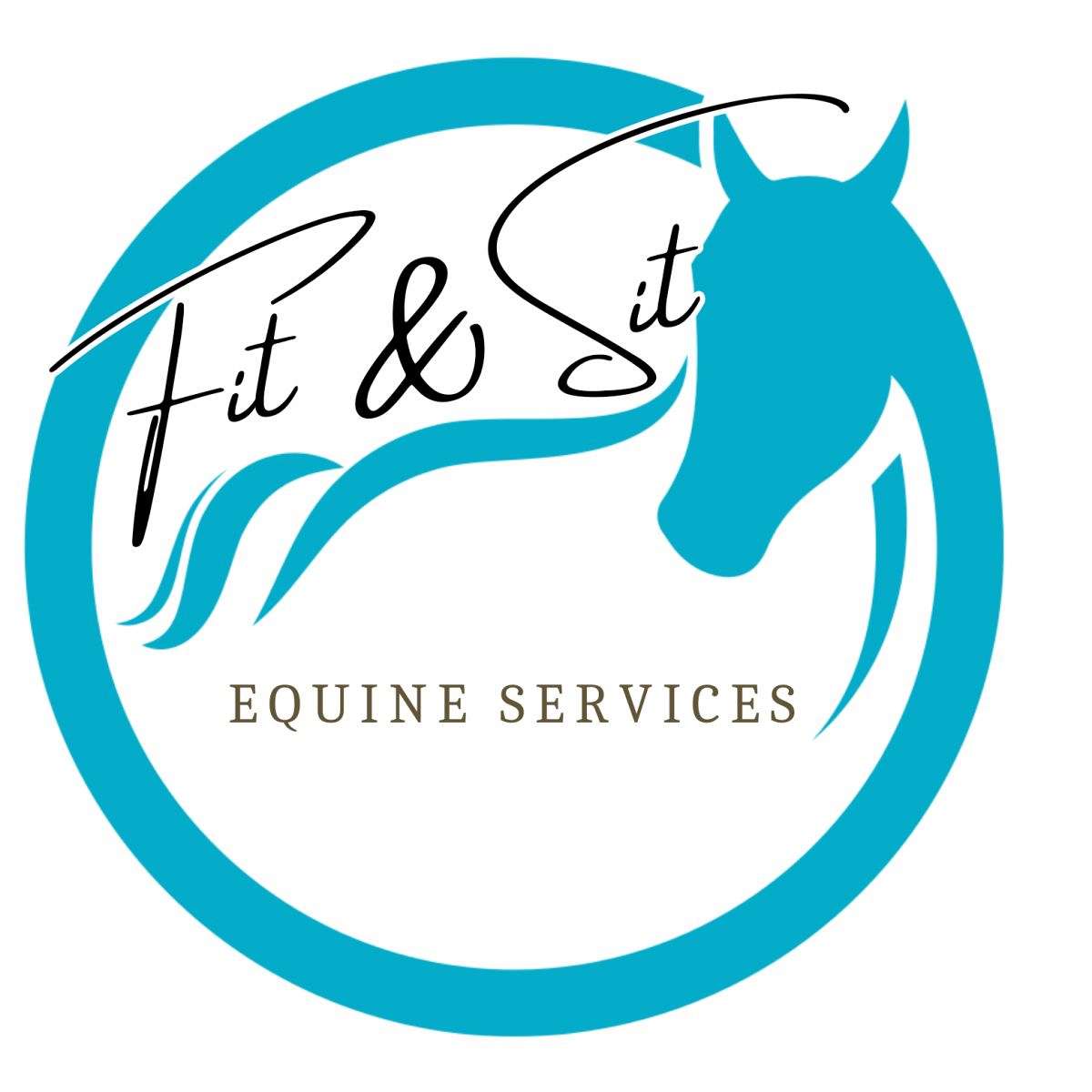 Fit  Sit Equine Services