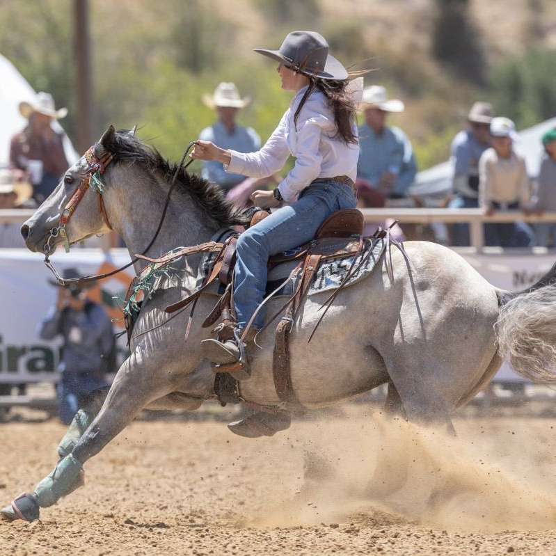 River Ranch Stables