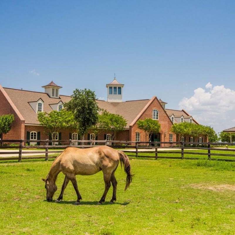 The Stables at Le Bocage