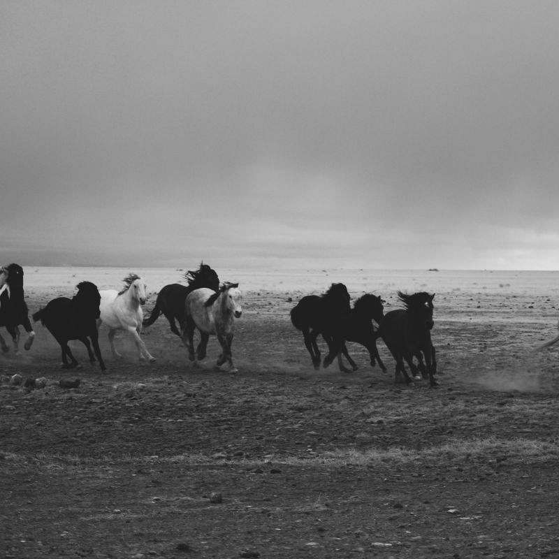 High Plains Drift Inn