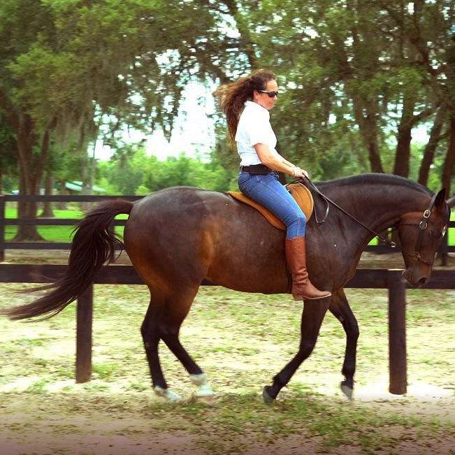 Tao of Horsemanship Academy