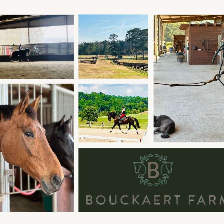 Bouckaert Farm Boarding