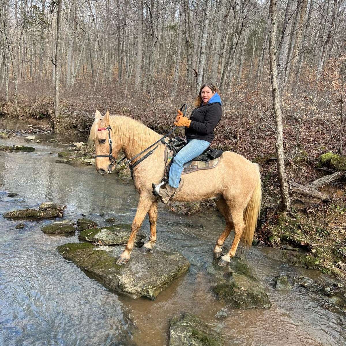 Bear Branch Campground