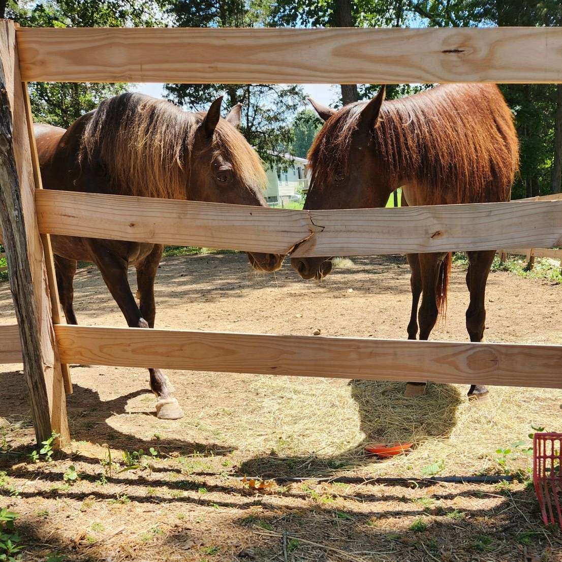Hooser Horsemanship LLC