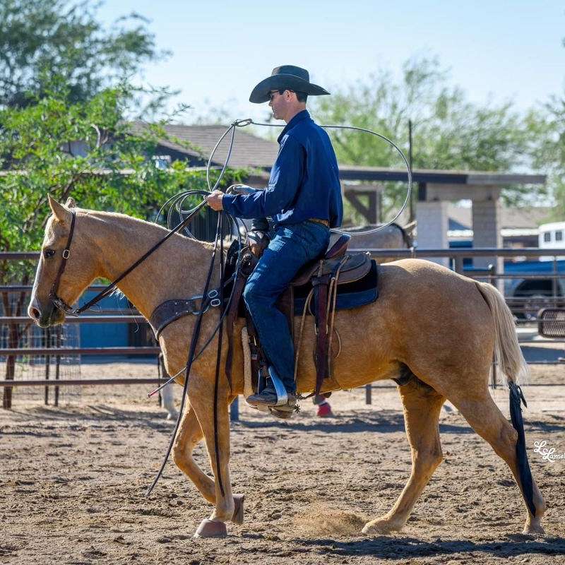 Cardon Performance Horses