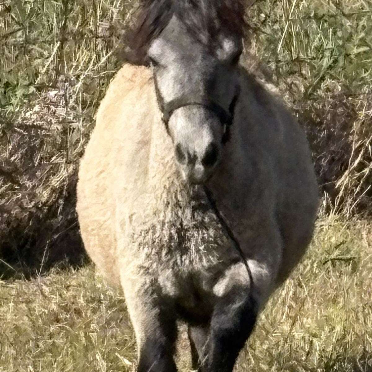 Stewart Farm