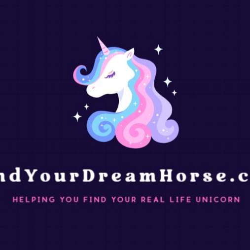 Find Your Dream Horse