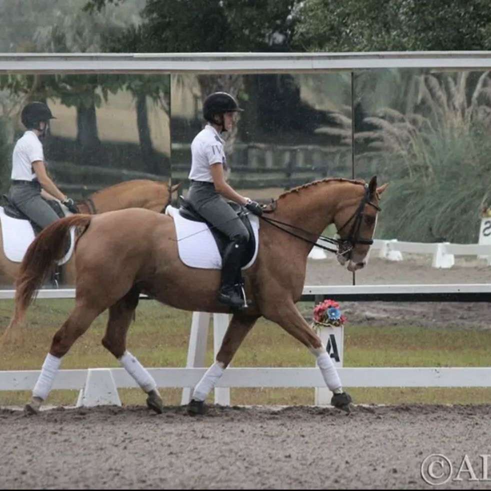 Nadia Dressage
